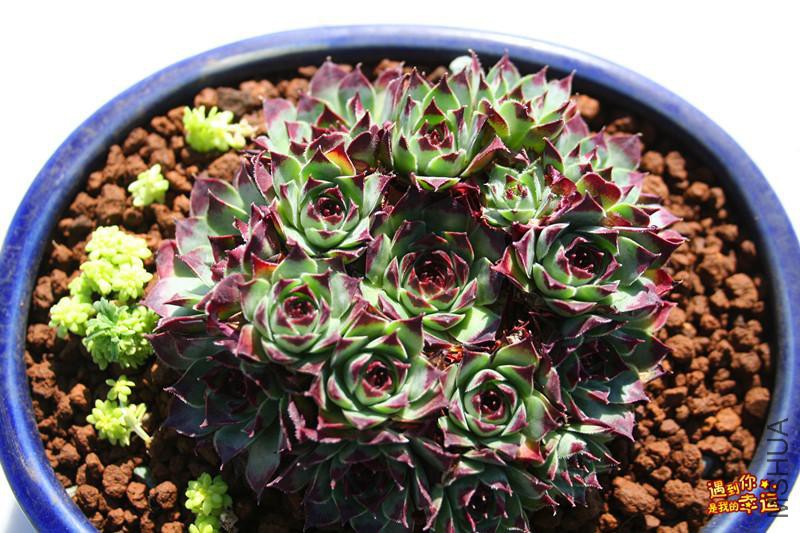 ��Ƭ 093_����.jpg