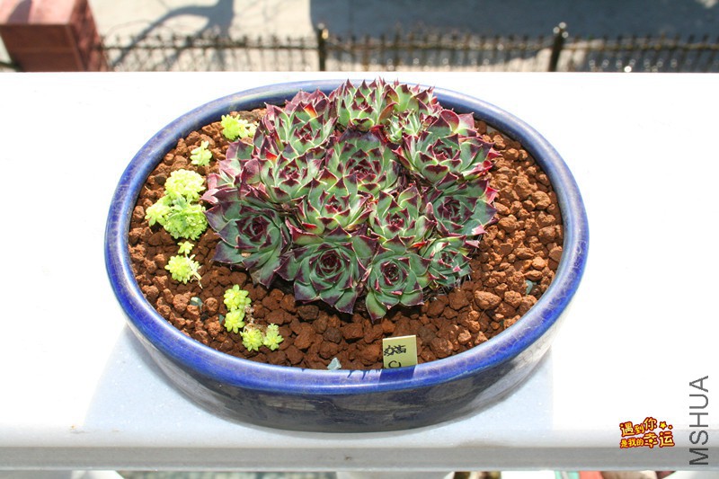 ��Ƭ 091_����.jpg