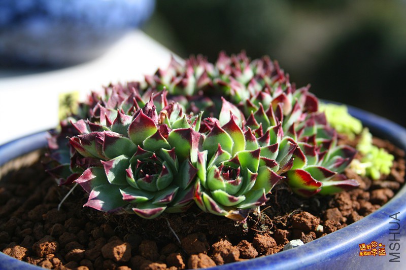 ��Ƭ 094_����.jpg