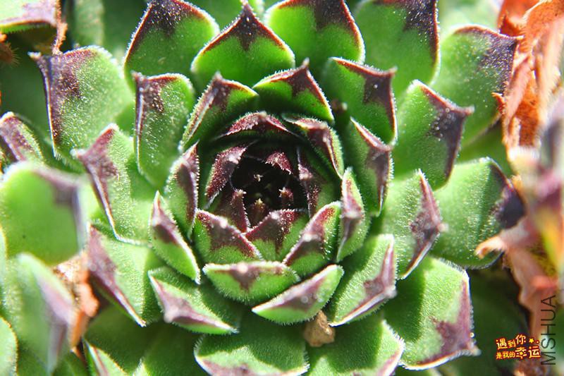 ��Ƭ 095_����.jpg