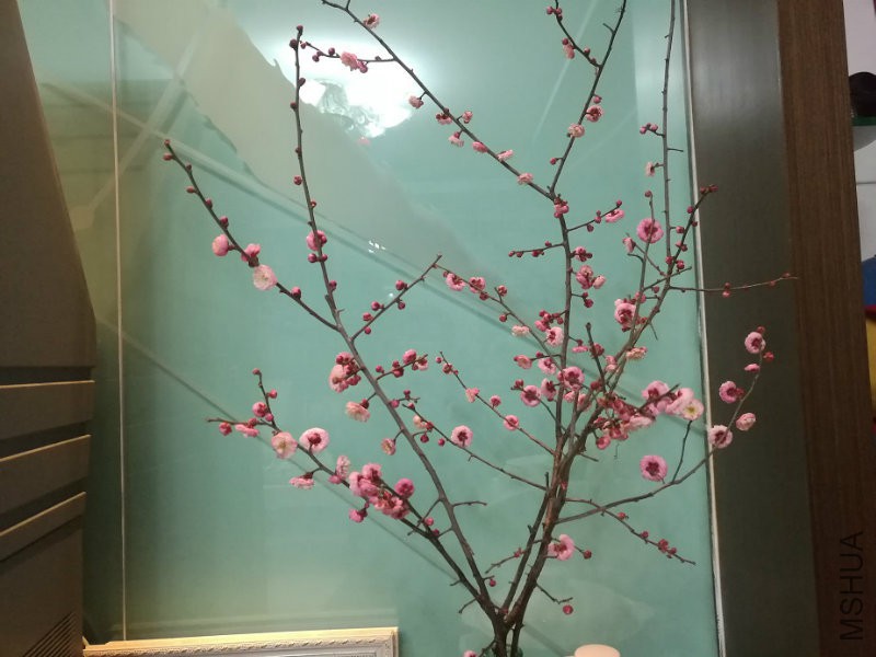 IMG_20170130_184722.jpg
