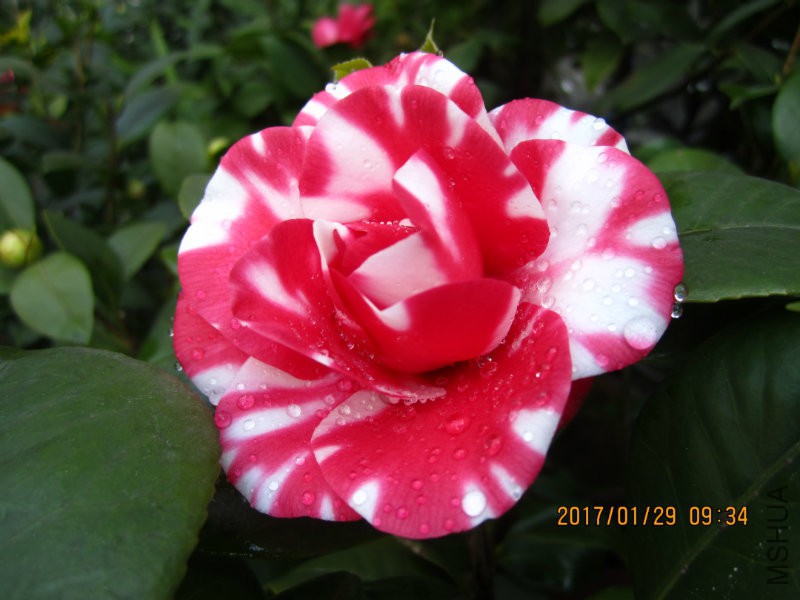 IMG_8354.JPG