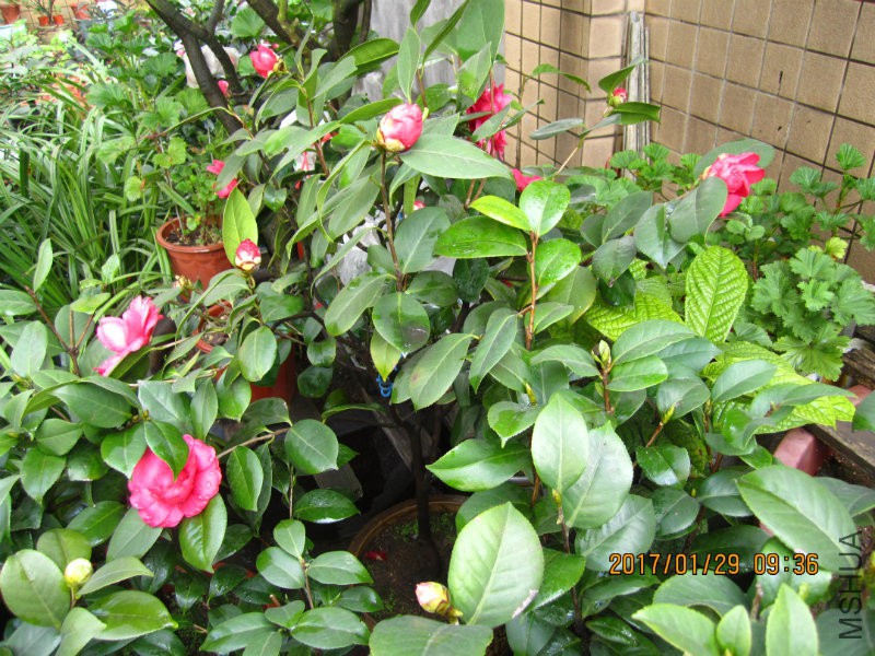 IMG_8357.JPG
