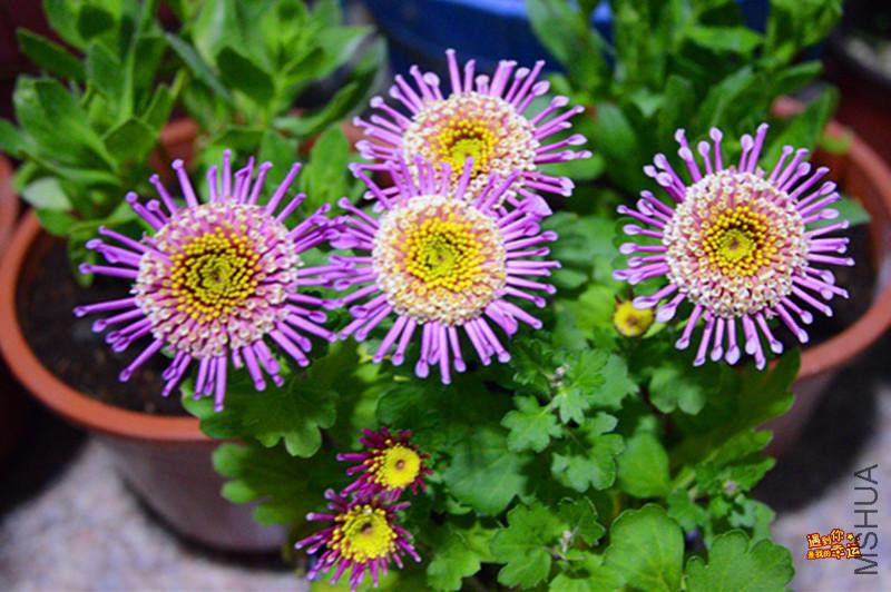 ��Ƭ 007_����.jpg