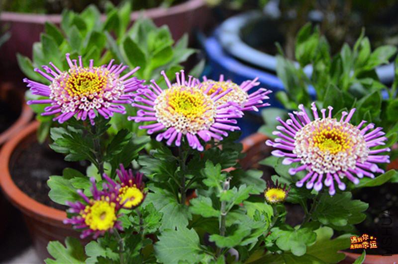 ��Ƭ 008_����.jpg