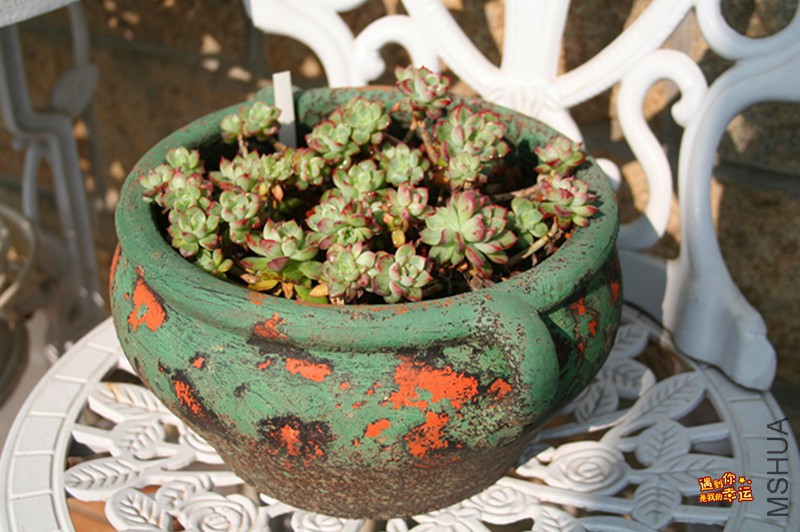 ��Ƭ 131_����.jpg