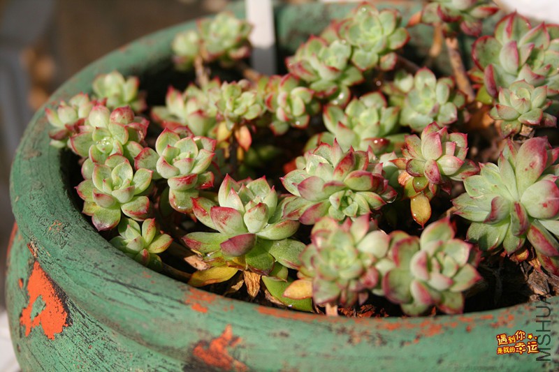 ��Ƭ 134_����.jpg