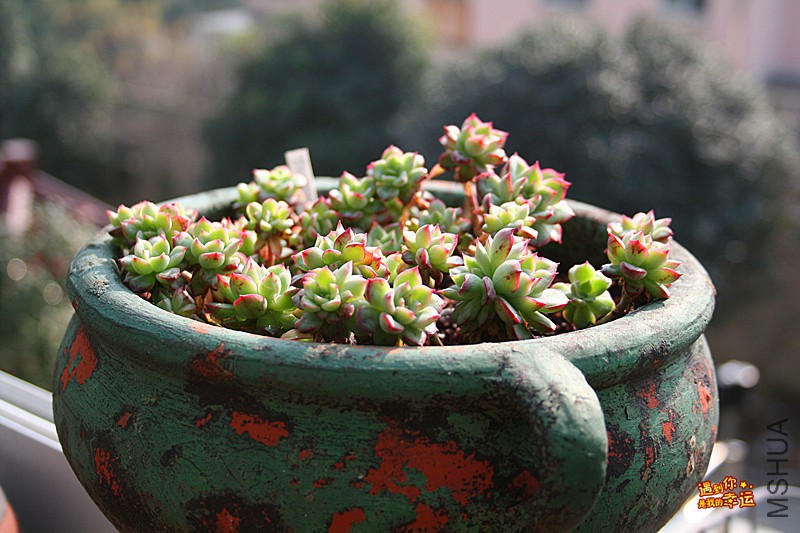 ��Ƭ 135_����.jpg