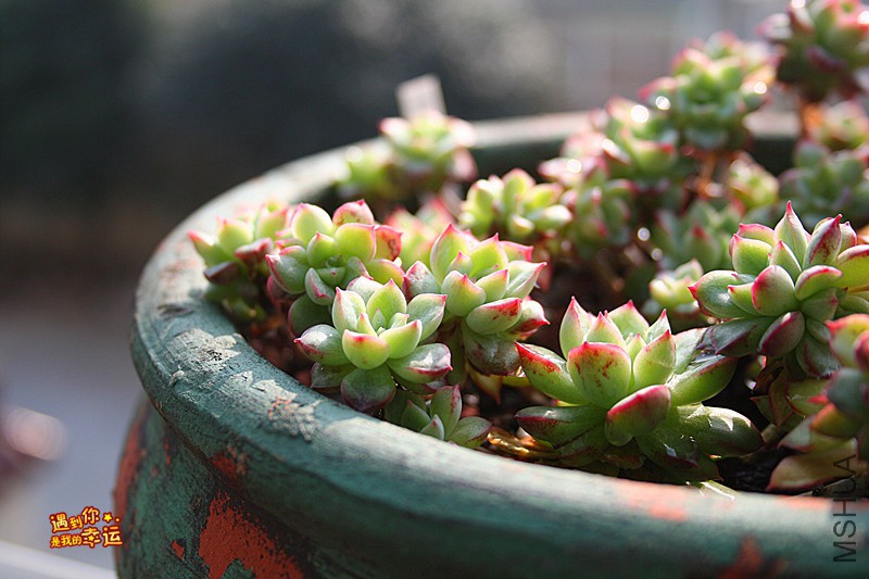 ��Ƭ 138_����.jpg