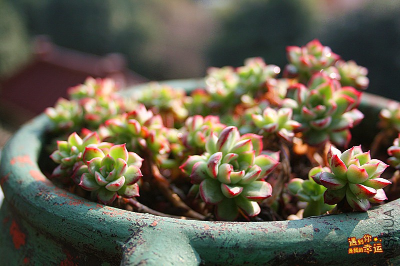 ��Ƭ 139_����.jpg