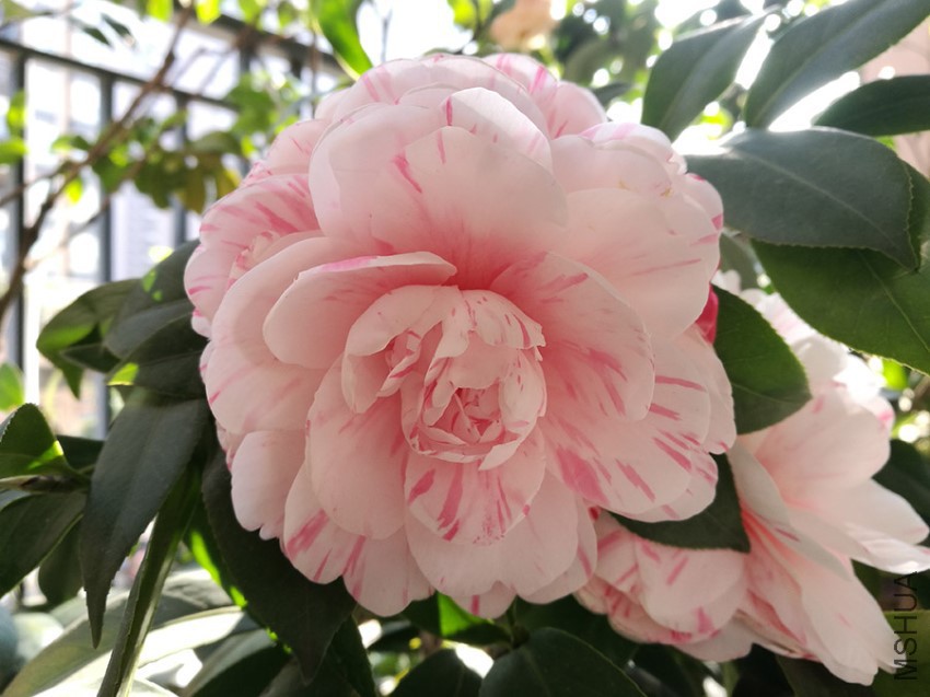IMG_20170201_153805.jpg