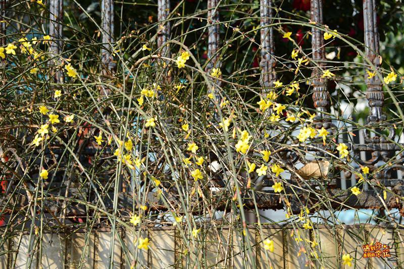 ��Ƭ 204_����.jpg