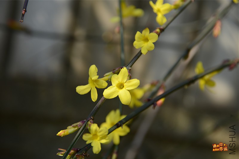 ��Ƭ 206_����.jpg