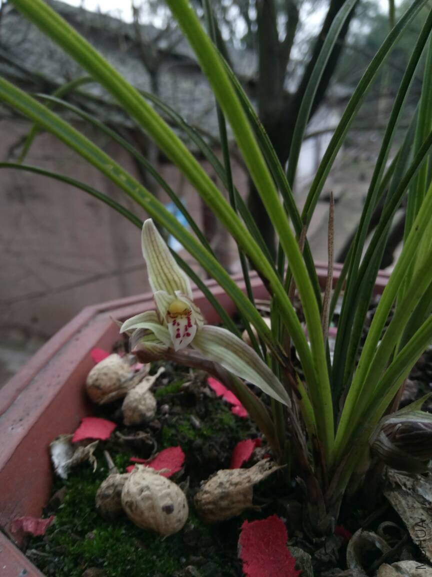090319erfuurl8kx1rk8ur.jpg
