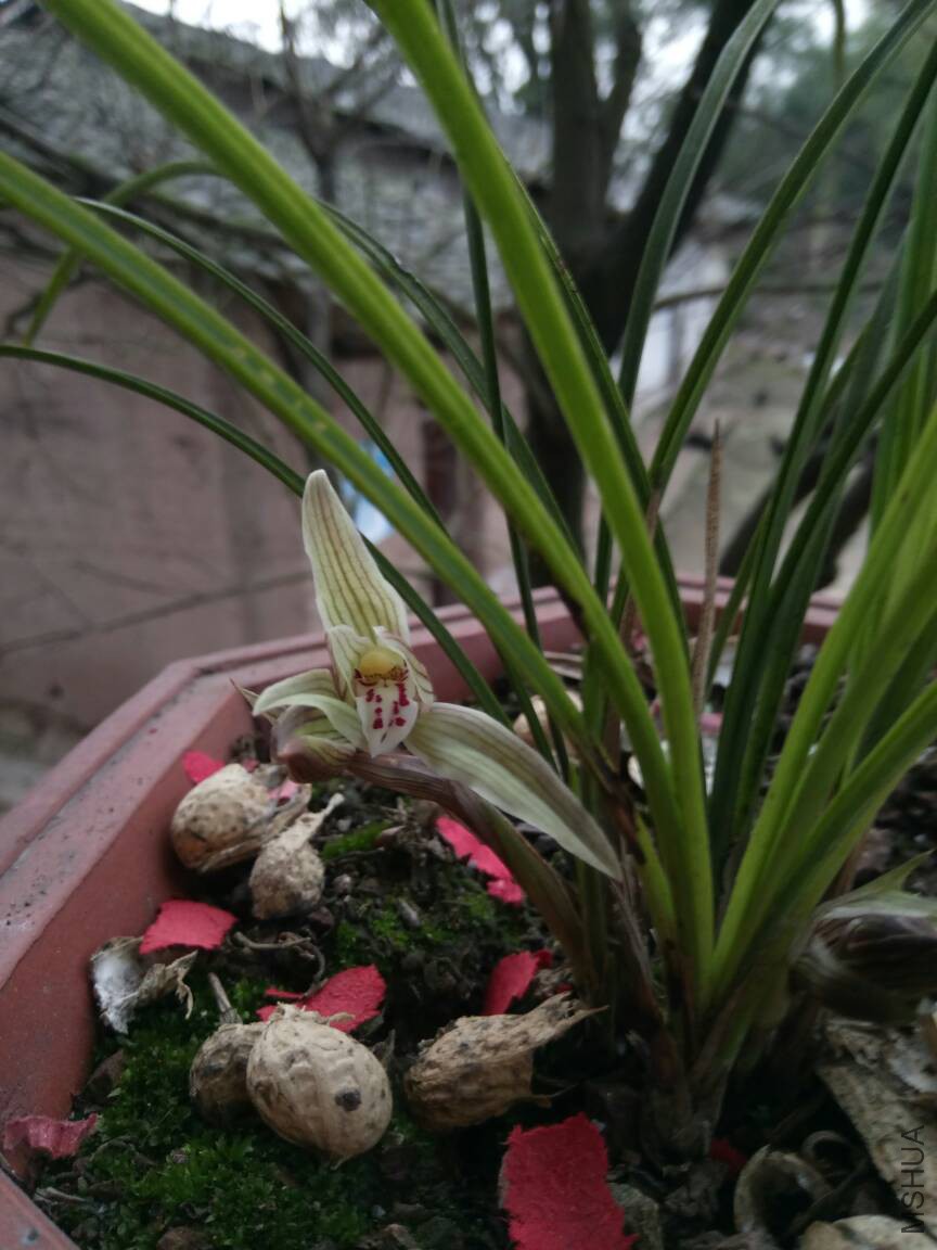 090320xij2t0t6tgtoiti6.jpg