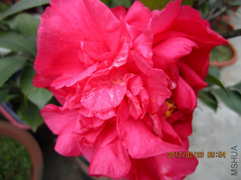 IMG_8383.JPG