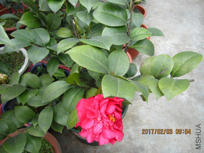 IMG_8385.JPG