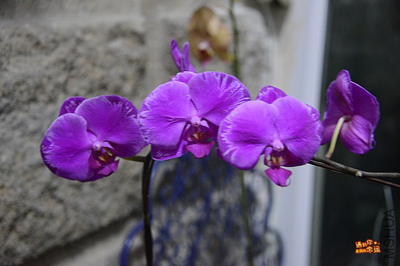 ��Ƭ 012_����.jpg