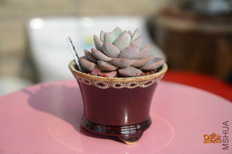 ��Ƭ 047_����.jpg