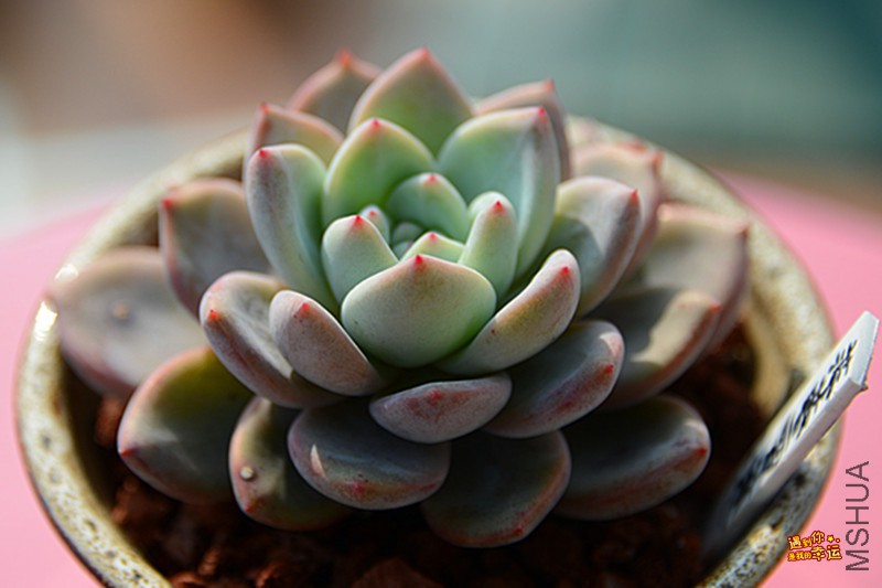 ��Ƭ 051_����.jpg