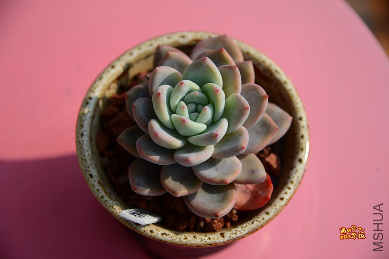 ��Ƭ 049_����.jpg