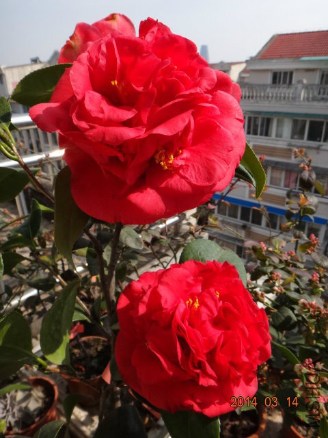 DSC07647.JPG