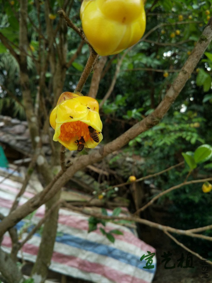 IMG_20170127_094227.jpg