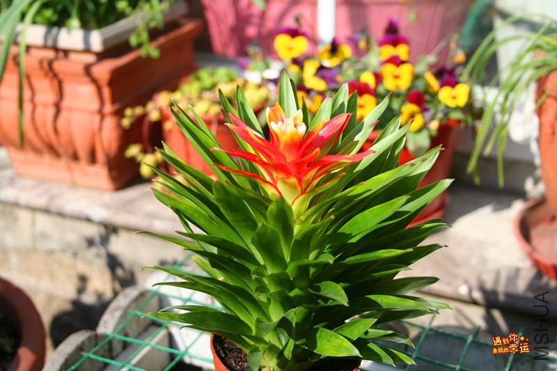 ��Ƭ 191_����.jpg