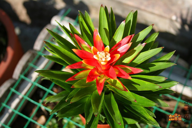 ��Ƭ 194_����.jpg