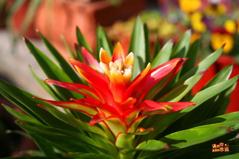 ��Ƭ 196_����.jpg