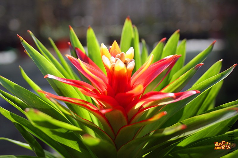 ��Ƭ 197_����.jpg