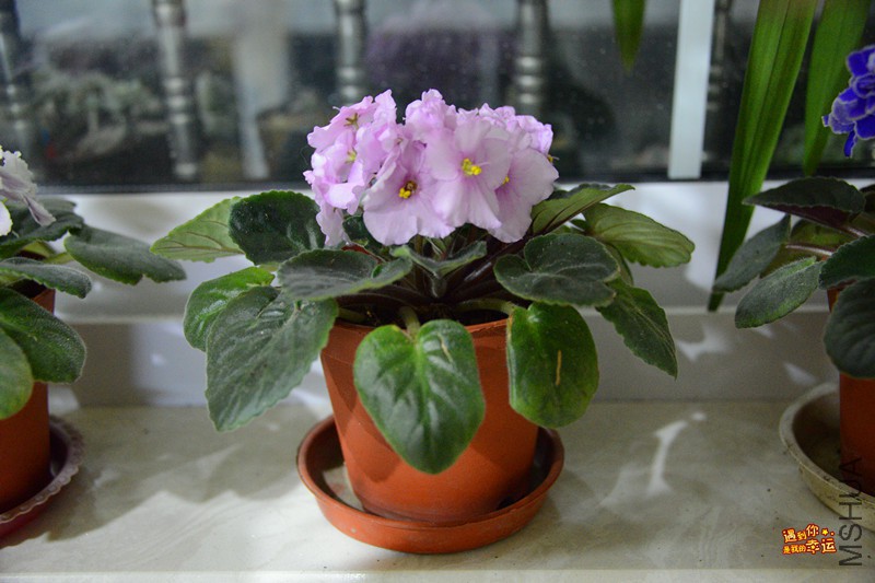 ��Ƭ 027_����.jpg