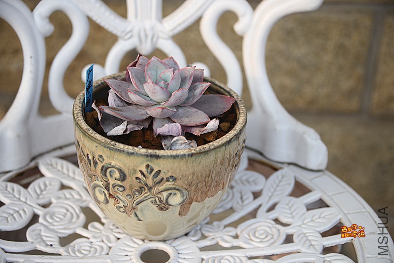 ��Ƭ 616_����.jpg