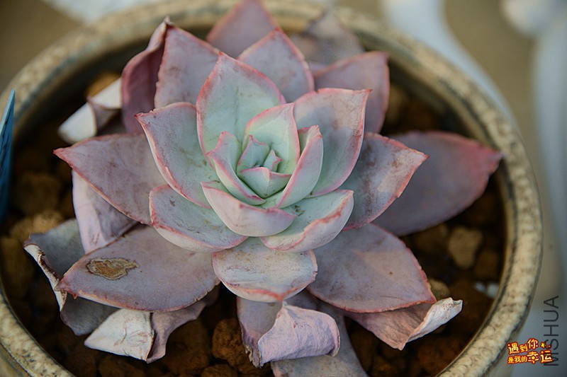 ��Ƭ 618_����.jpg