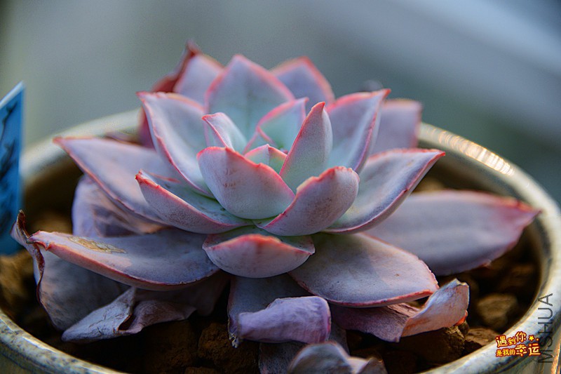 ��Ƭ 620_����.jpg