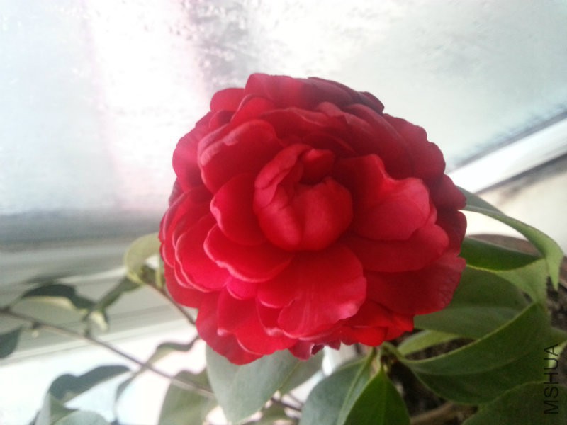 20170117_071809.jpg