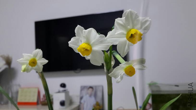 160415a1dag8w0jww0c00w.jpg