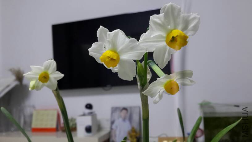 160416u9ubb19nbxtkvxr8.jpg