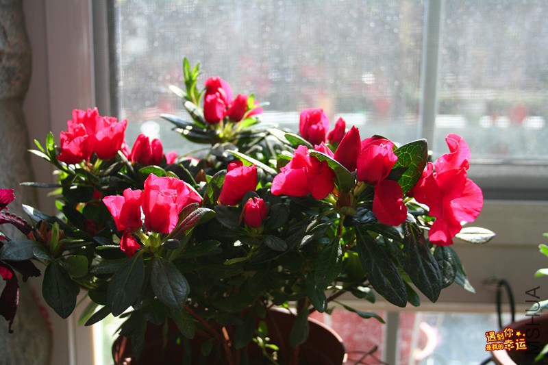 ��Ƭ 186_����.jpg