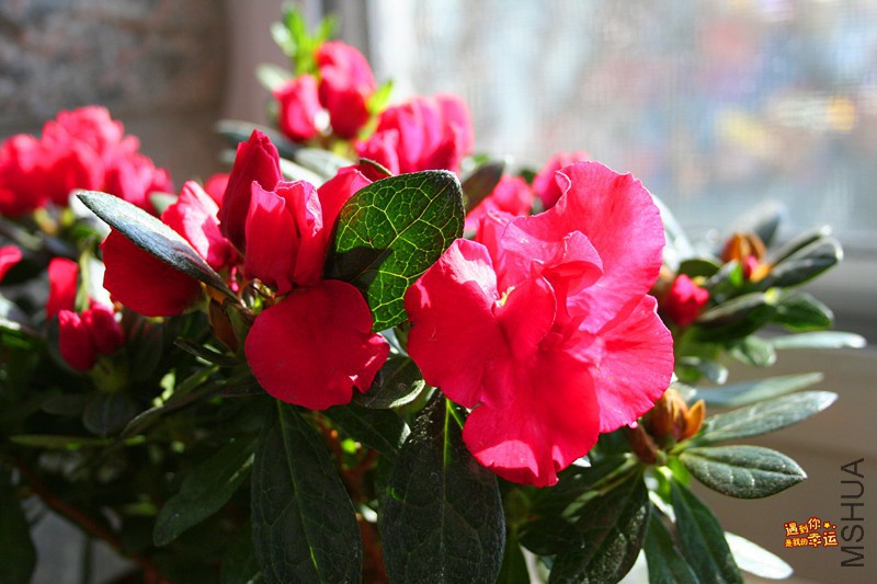 ��Ƭ 188_����.jpg