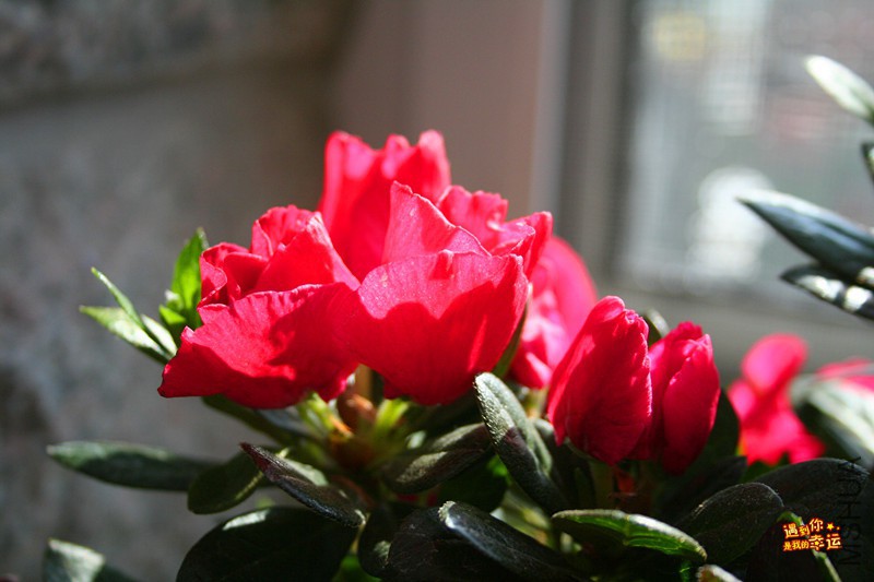 ��Ƭ 189_����.jpg