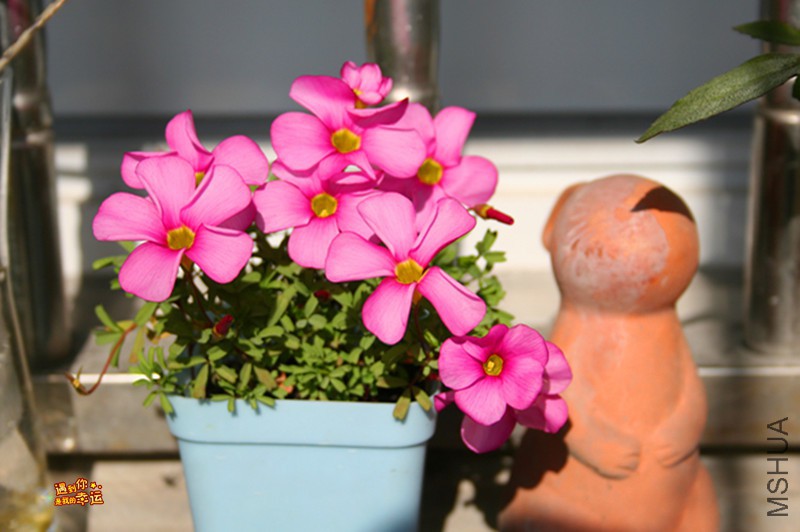 ��Ƭ 060_����.jpg