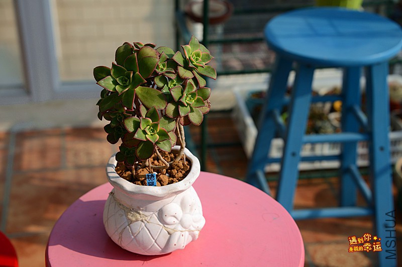 ��Ƭ 263_����.jpg