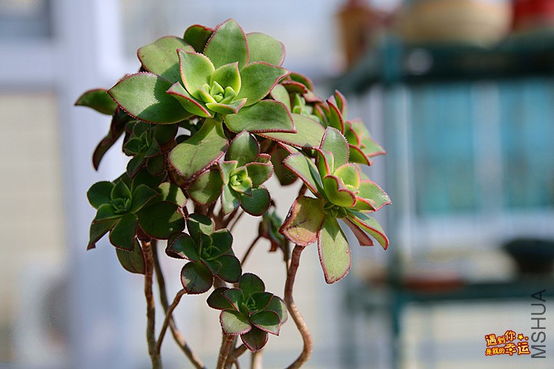 ��Ƭ 272_����.jpg