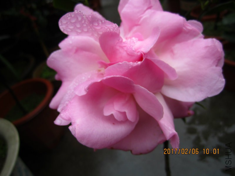 IMG_8436.JPG