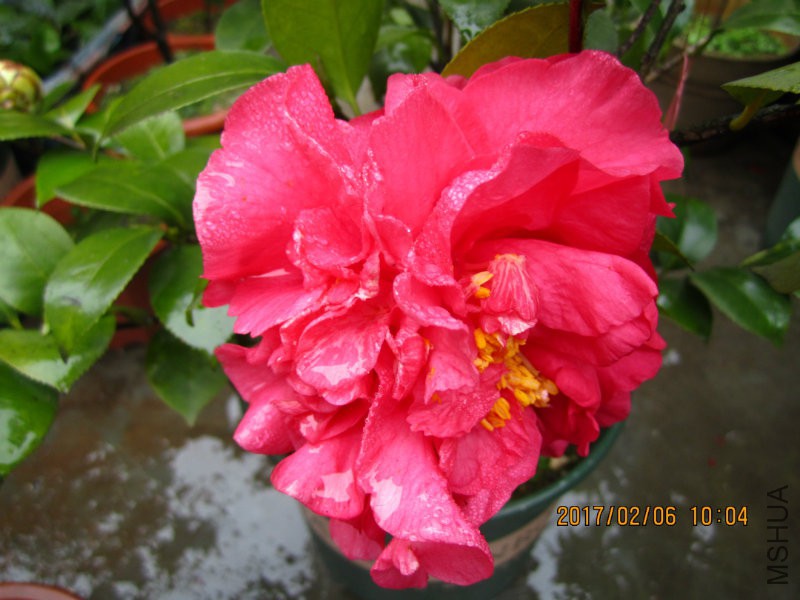 IMG_8443.JPG