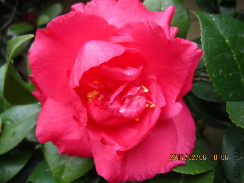 IMG_8454.JPG