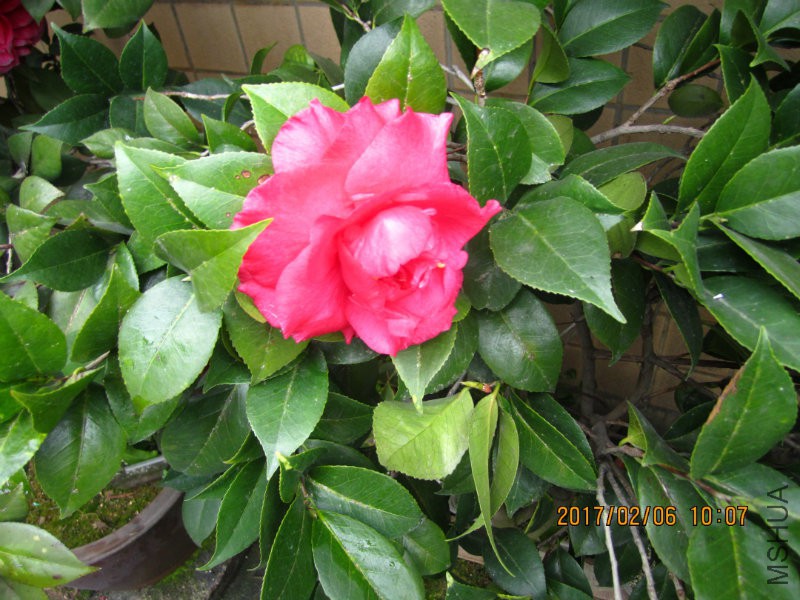 IMG_8455.JPG