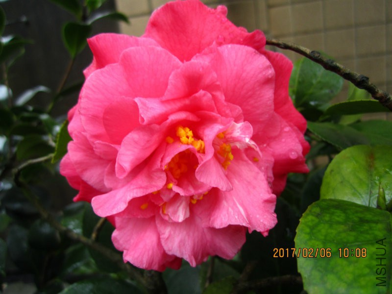 IMG_8461.JPG