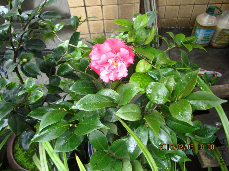 IMG_8462.JPG